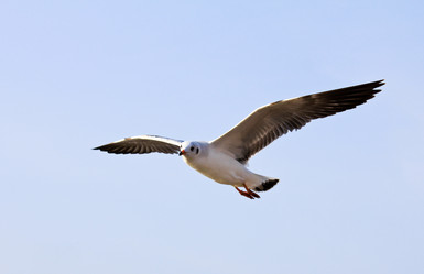 Similar image 12350591