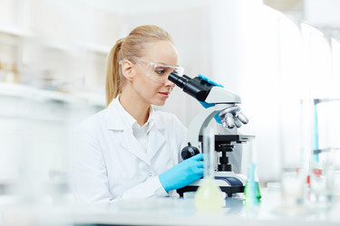 Similar image 12344940