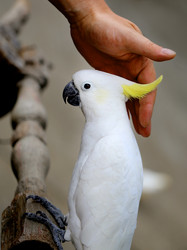 Similar image 12292795