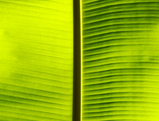 Similar image 12350177