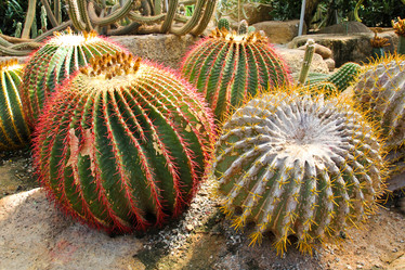 Similar image 12350471