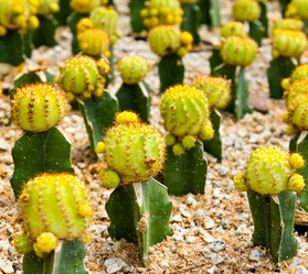 Similar image 12350472