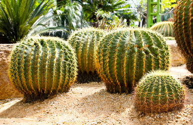 Similar image 12350473