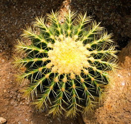 Similar image 12350474