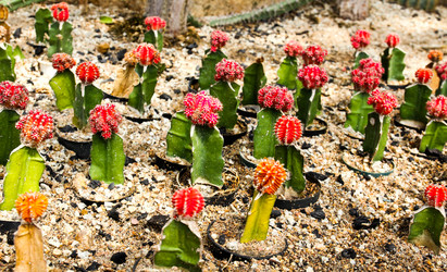 Similar image 12350476