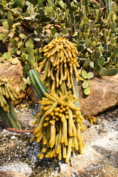 Similar image 12350477