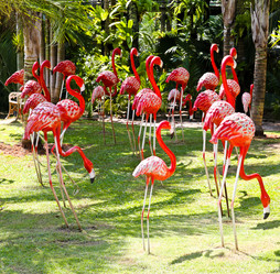 Similar image 12350478