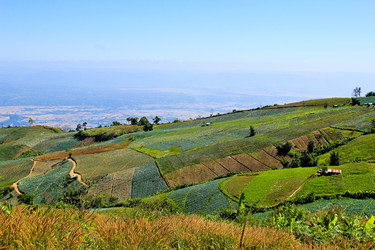 Similar image 12350539