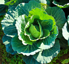 Similar image 12350563