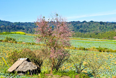 Similar image 12350565