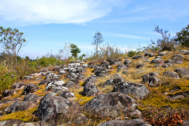 Similar image 12350596