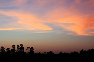 Similar image 12350597