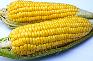 Similar image 12350615