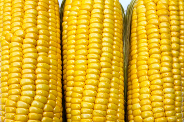 Similar image 12350733