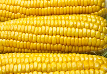 Similar image 12350734