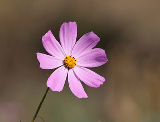 Similar image 12223949