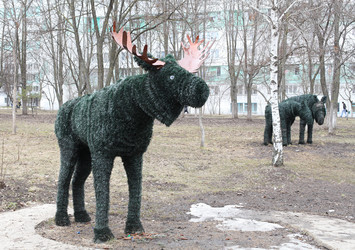 Similar image 12224348