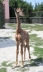 Similar image 12224445