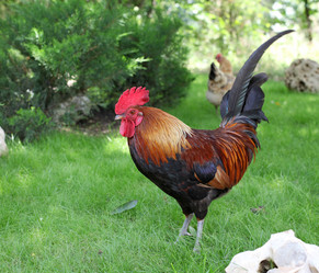 Similar image 12225739