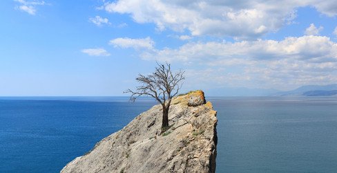 Similar image 12225741