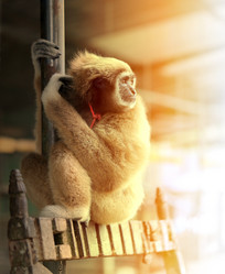 Similar image 12292805