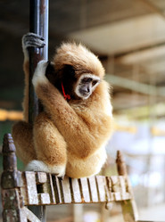 Similar image 12292819