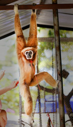 Similar image 12292842