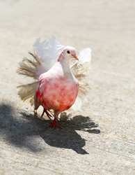 Similar image 12295141