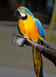 Similar image 12295179