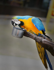 Similar image 12295182