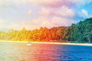 Similar image 12295222