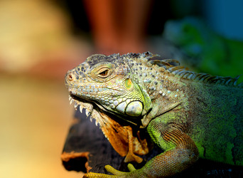 Similar image 12296610