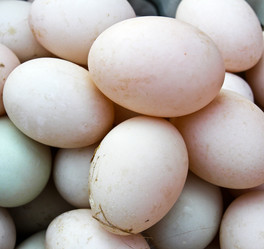 Similar image 12350520