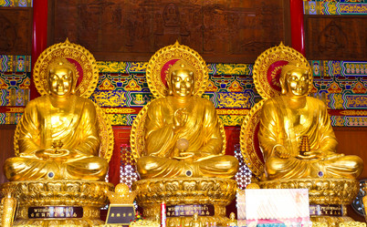 Similar image 12350207