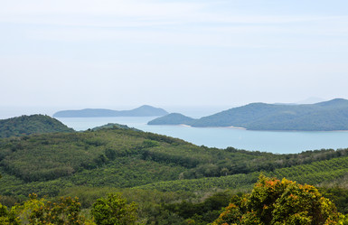 Similar image 12350494