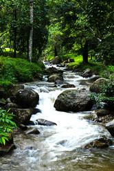 Similar image 12350744