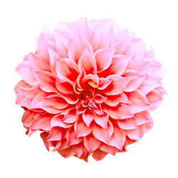 Similar image 12350587