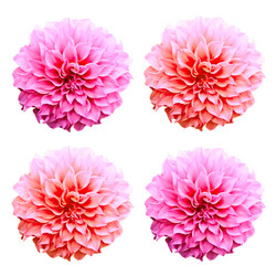 Similar image 12350589