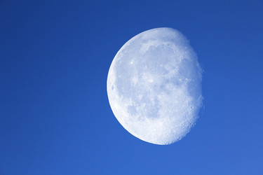 Similar image 12350629