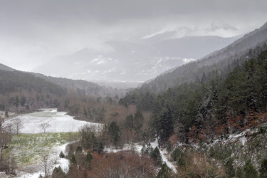 Similar image 12222871