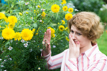 Similar image 12290147