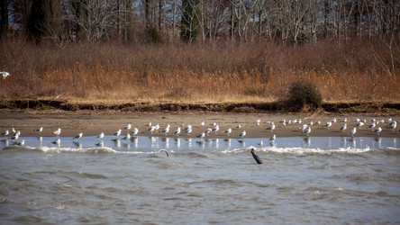 Similar image 12349076