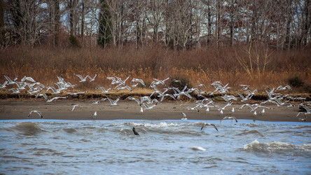 Similar image 12349090