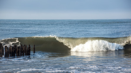 Similar image 12349113