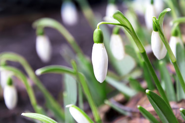 Similar image 12222303