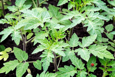 Similar image 12222304