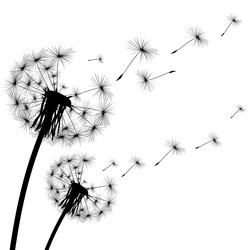 Similar image 12348938