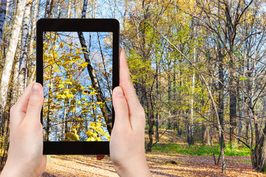 Similar image 12347713