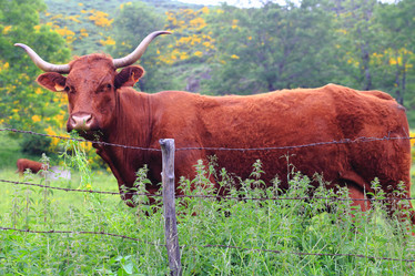 Similar image 12223189