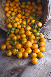 Similar image 12351742